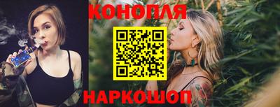 индика Нальчик