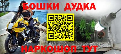 индика Нальчик
