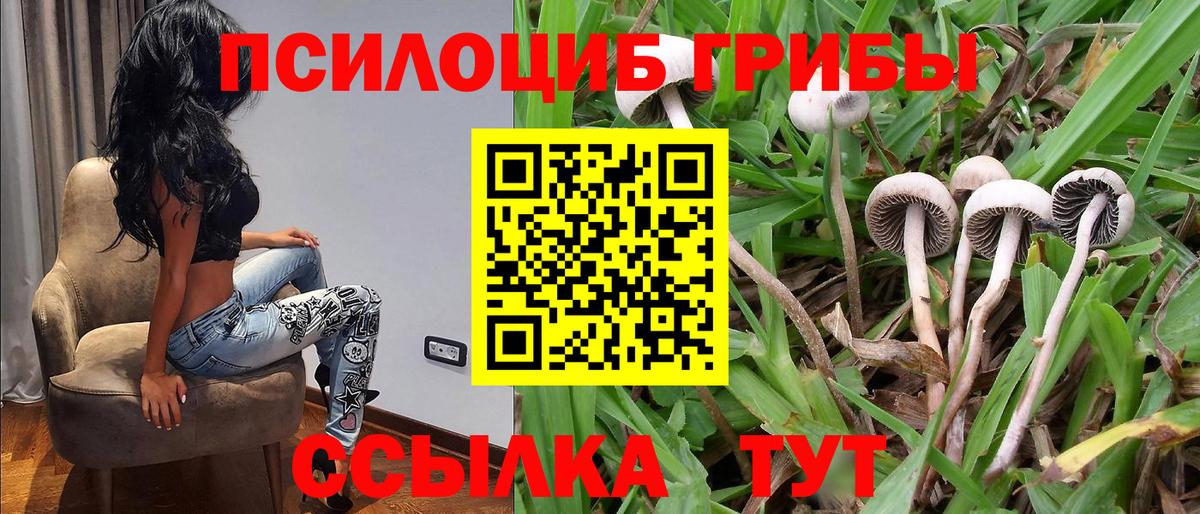 Галлюциногенные грибы прущие грибы Рыбинск