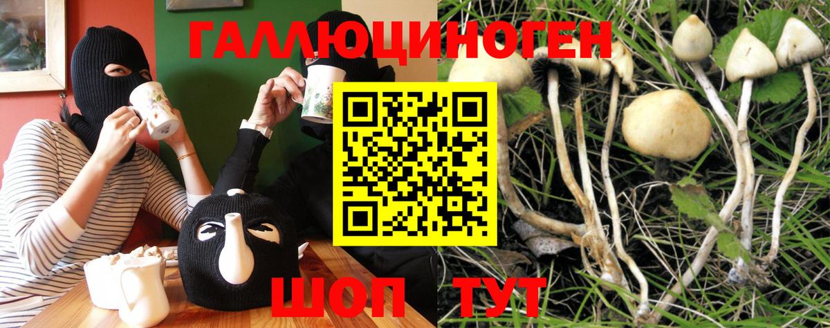 Рыбинск  Галлюциногенные грибы GOLDEN TEACHER  Псилоцибиновые грибы мицелий  Вход с VPN 
